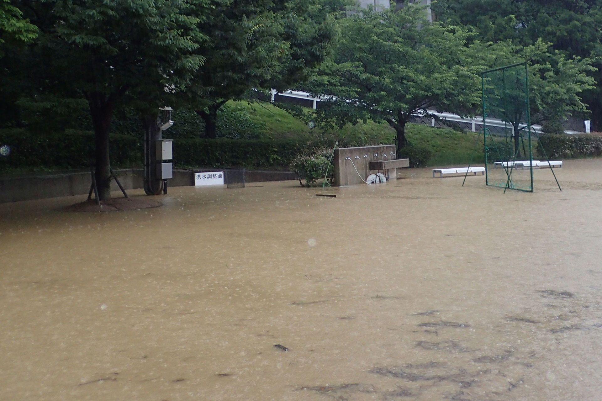 Yajima写真2洪水調整池0120180629.jpg